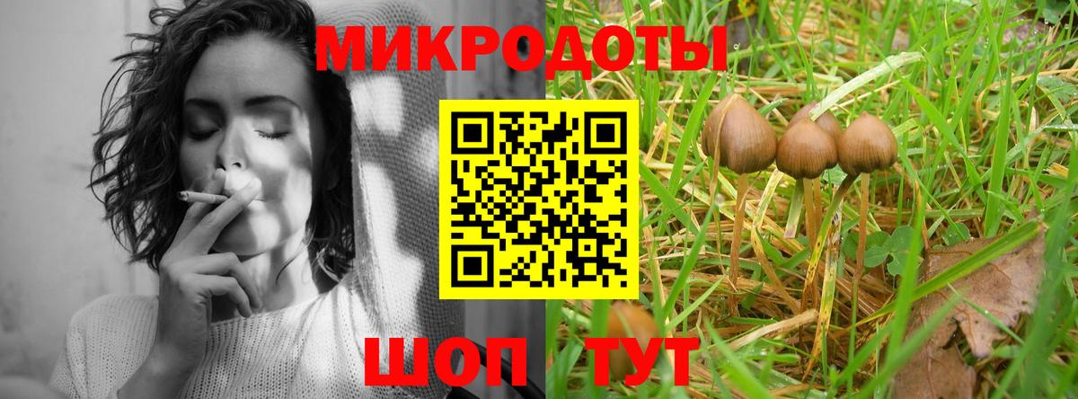 Псилоцибиновые грибы Cubensis Нефтекумск